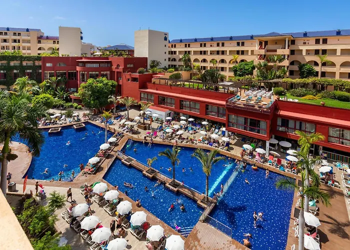 Jacaranda Адехе